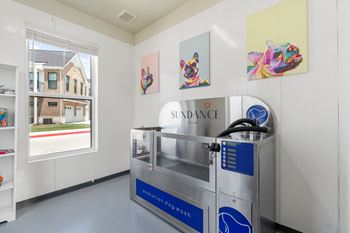 Pet wash station